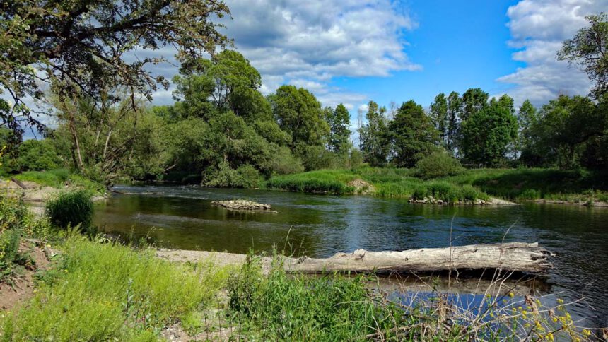 naturerlebnisweg baunach südsee bei bamberg haßberge