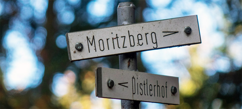 Rundwanderung auf den Moritzberg bei Leinburg (Landkreis Nürnberger Land) 11 wegweiser markierung moritzberg nürnberger land mittelfranken