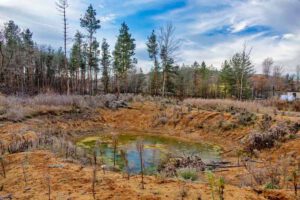 ausflug wandern nürnberg sandgruben am föhrenbuck