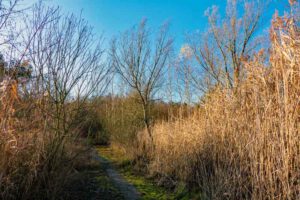 tongrube marloffstein erlangen höchstadt mittelfranken wandern