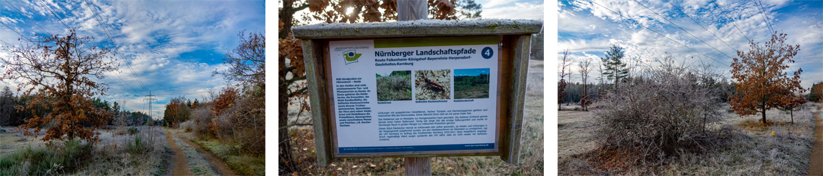 sandgruben naturschutzgebiet föhrenbuck nürnberg wandern