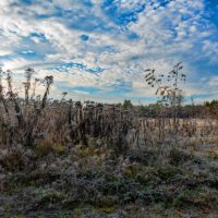 sandgruben foehrenbuck schuttberg hafenberg nuerberg wandern naturschutzgebiet ausflug