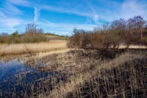 feuer brand tongrube marloffstein sommer 2022