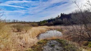 tongrube marloffstein geotop erlangen