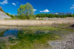 tongrube marloffstein erlangen geotop mittelfranken see