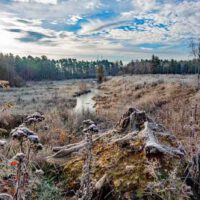 Unterwegs in Nürnbergs grünen Oasen - Naturschutzgebiet Sandgruben am Föhrenbuck 5 wandern in nürnberg föhrenbuck winter