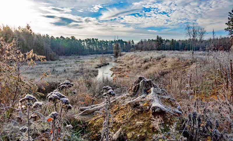 wandern in nürnberg föhrenbuck winter