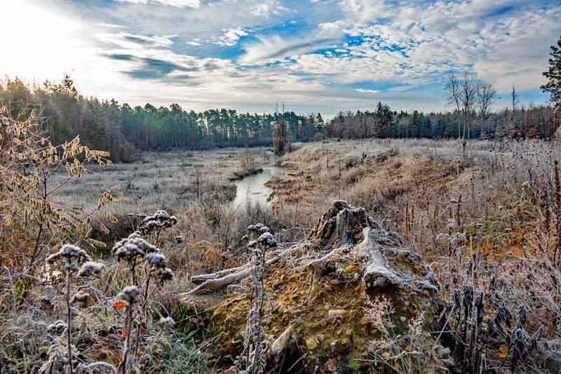 NATURSCHUTZGEBIETE IN NÜRNBERG 11 wandern in nürnberg föhrenbuck winter