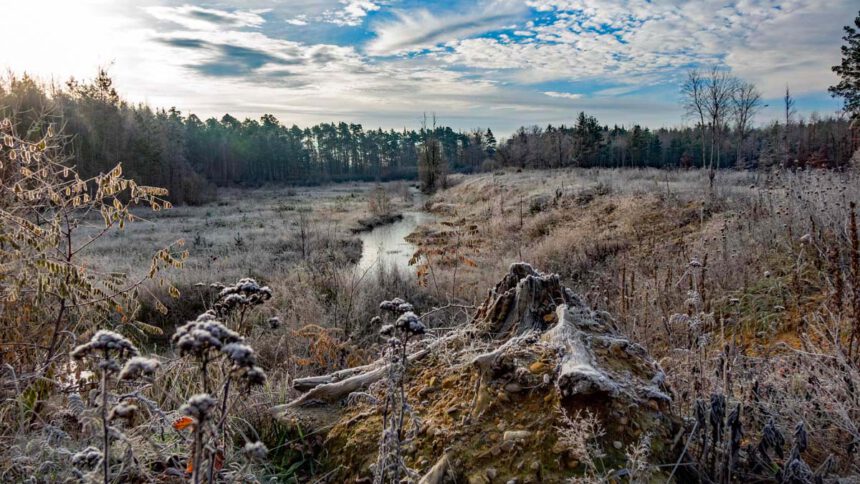 wandern in nürnberg föhrenbuck winter
