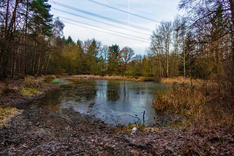 Von Cadolzburg zum Druidenstein auf dem Dillenberg (Landkreis Fürth) 4 wandern rangau frankenöhe fürth cadolzburg druidenstein dillenberg