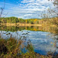 Rundwanderung um den Birkensee (Nürnberger Land) 31 rundwanderung um den birkensee im nürnberger land