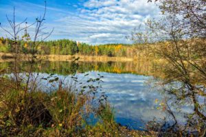 rundwanderung um den birkensee im nürnberger land