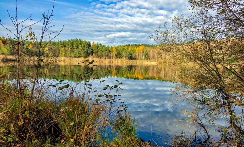rundwanderung um den birkensee im nürnberger land