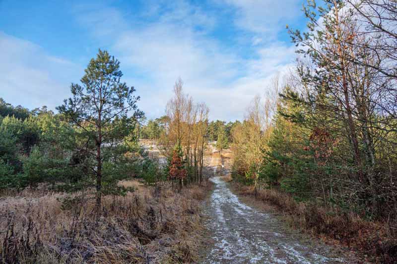 wandern sanddüne flechtenkiefernwald leinburg nürnberger land