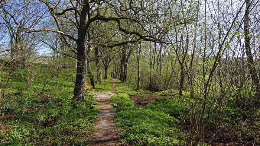 wandern altmühltal heidenheim rechenberg rundweg allee