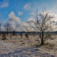 Noch mehr tolle Winterwanderungen rund um Nürnberg 30 winter wanderung schnee nürnberg familie kinder