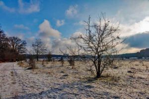winter wanderung schnee nürnberg familie kinder