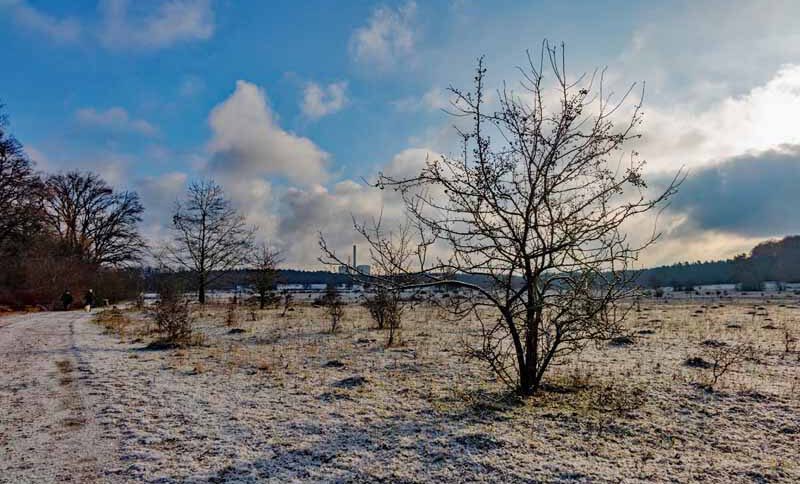 winter wanderung schnee nürnberg familie kinder