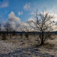 winter wanderung schnee nürnberg familie kinder