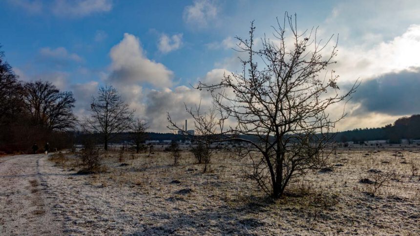 winter wanderung schnee nürnberg familie kinder