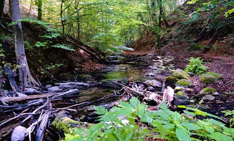 naturpark barim hellmühler fließ biesenthal