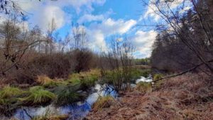 Vom Schwarzachtal zum Schwarzenbrucker Moor (Nürnberger Land) 10 schwarzenbrucker moor nürnberger land mittelfranken wandertour