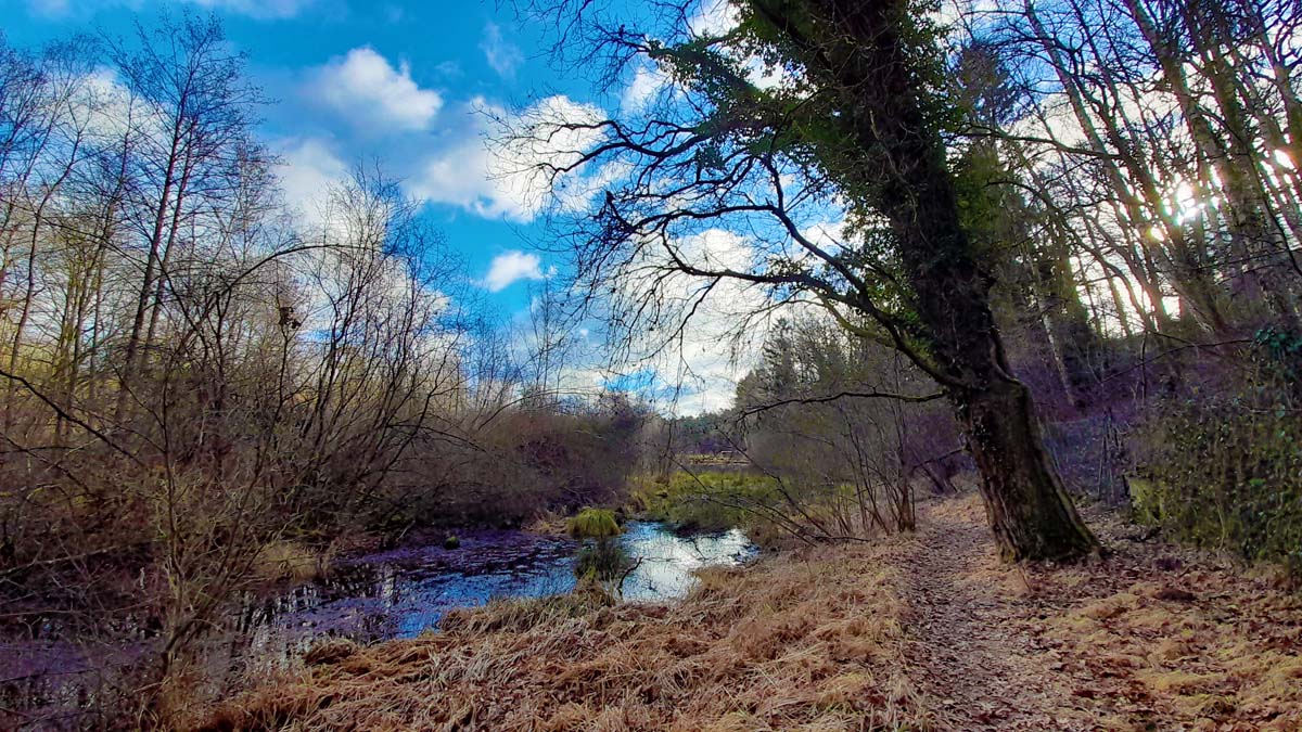 Vom Schwarzachtal zum Schwarzenbrucker Moor (Nürnberger Land) 7 die letzten moore in mittelfranken bayern schwarzenbrucker moor
