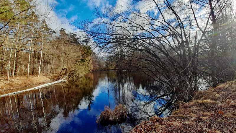 Vom Schwarzachtal zum Schwarzenbrucker Moor (Nürnberger Land) 18 wanderung zum schwarzenbrucker moor gsteinach nürnberger land