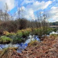 Vom Schwarzachtal zum Schwarzenbrucker Moor (Nürnberger Land) 5 schwarzenbrucker moor nürnberger land wandern