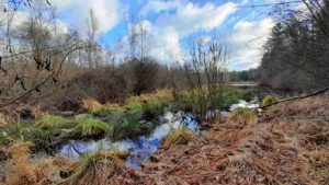 schwarzenbrucker moor nürnberger land wandern