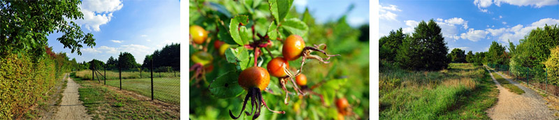 Romantisches Havelland - Rundweg von Ketzin nach Paretz 3 rundweg wandern von ketzin nach paretz havel havelland potsdam berlin