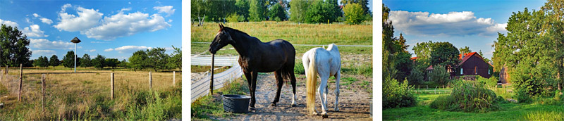Romantisches Havelland - Rundweg von Ketzin nach Paretz 5 wandern in brandenburg havelland ketzin paretz rundweg