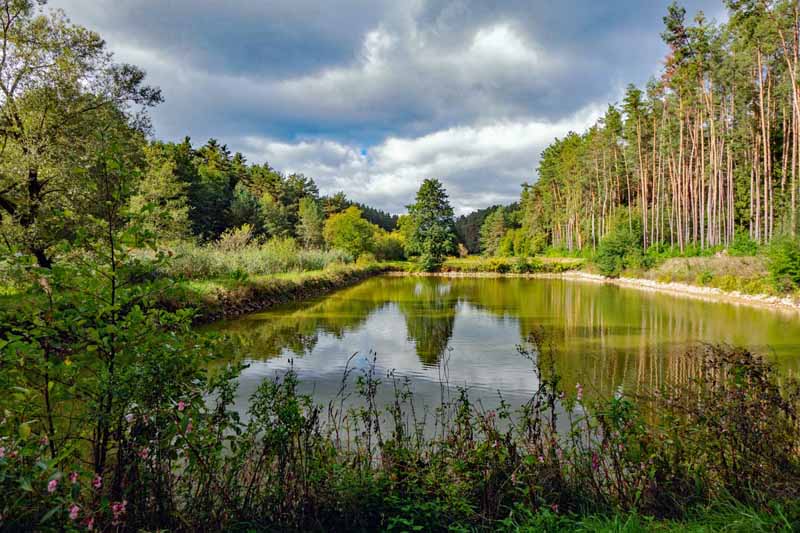 Die schönsten Wanderwege im Fränkischen Seenland - Teil 2 17 weiherweg hofstetten weiher landkreis roth fränkisches seenland ausflug wandern