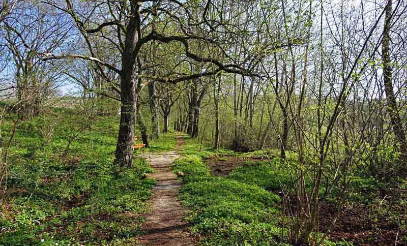 wandern altmühltal heidenheim rechenberg rundweg allee
