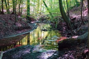 wandern naturpark barnim brandenburg biesenthal hellmuehler fliess
