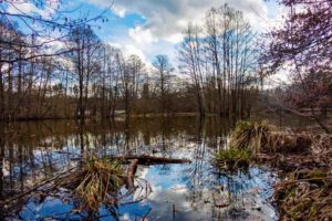 schwarzenbrucker moor wanderung