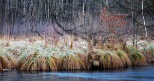 Vom Schwarzachtal zum Schwarzenbrucker Moor (Nürnberger Land) 14 schwarzenbrucker moor nürnberger land mittelfranken bayern wanderung