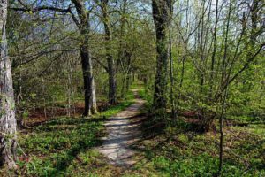 Wandertouren für Familien mit Kleinkindern in Mittelfranken - Buggy-taugliche Wanderwege - Teil 2 19 von heidenheim auf den rechenberg wandern altmühltal