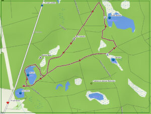 Urwald in Deutschland 16 wildnispfad lieberose brandenburg urwald wildnis deutschland