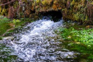 Geopfad Gößweinstein - Von der Fellner-Doline zur Stempfermühlquelle 26 stempfermühlquelle geotop oberfranken forchheim bayern fränkische schweiz geopfad gößweinstein