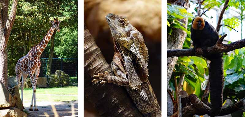stadt nürnberg ausflug wandern tipps