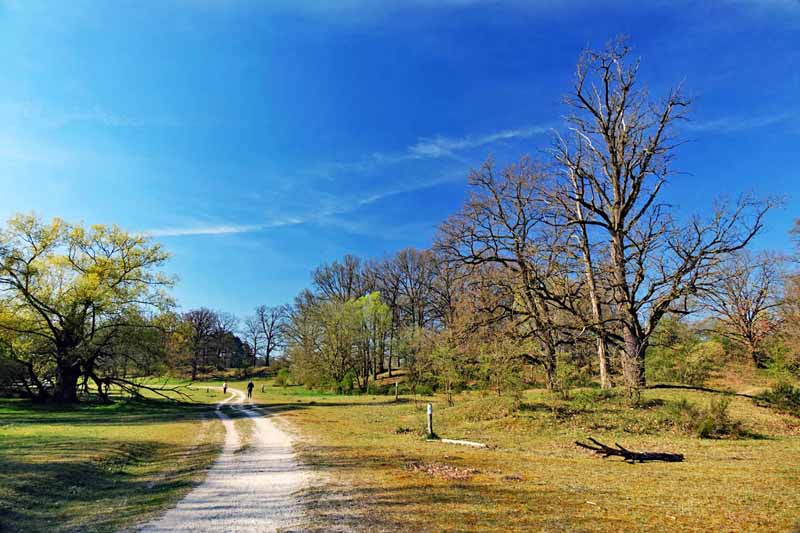 wandern familie kinderwagen buggy nürnberg hainberg