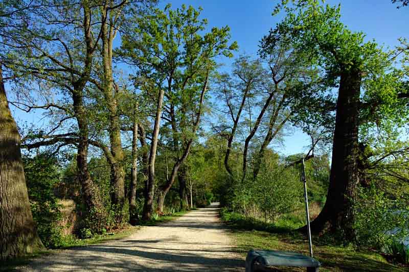 wandern mit kinderwagen buggy nürnberg volkspark dutzendteich