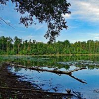 Wildnispfad Lieberose (Brandenburg) 17 bergsee wildnispfad lieberoser heide brandenburg