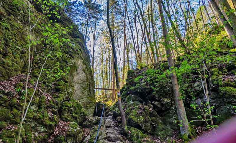fränkische schweiz wanderung thiefenthalschlucht keltenweg h die schönsten wanderungen
