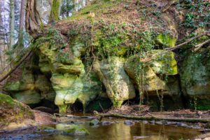 Urwald in Deutschland 27 wandern deutschland bayern wandertipps schluchten franken