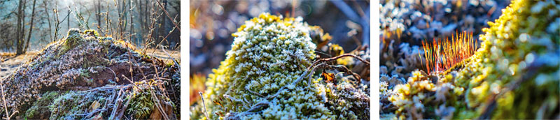 Auf dem Geo-Pfad von Plankenfels zum Plankenstein (Landkreis Bayreuth) 21 geopfad plankenfels bayreuth