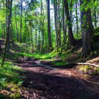 Auf dem geoökologischen Waldlehrpfad durch den Teufelsgraben in Langenzenn (Landkreis Fürth) 10 klammen und schluchten in franken teufelsgraben