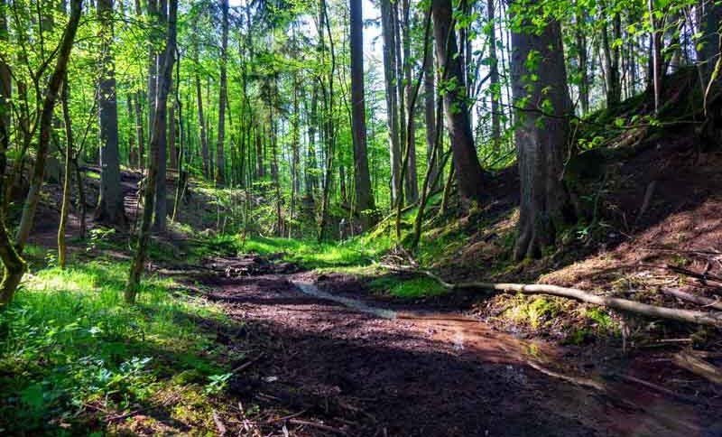 klammen und schluchten in franken teufelsgraben