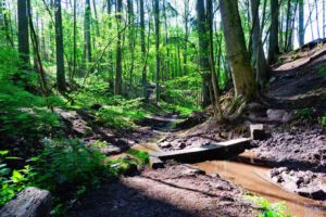 geoökologischer waldlehrpfad teufelsgraben langenzenn fürth